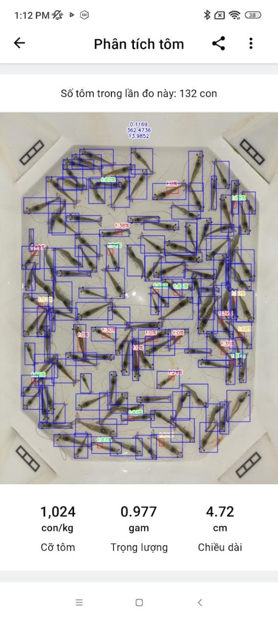 Phân tích đường ruột tôm