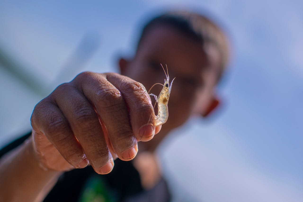 Services-01 A detailed view of a shrimp held by a fisherman against a clear sky in El Salvador.